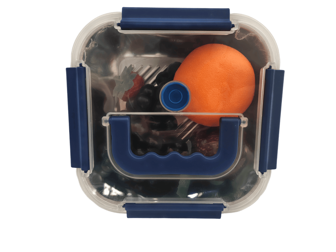 Stainless Steel Food Storage Containers – Blue Lids, Airtight